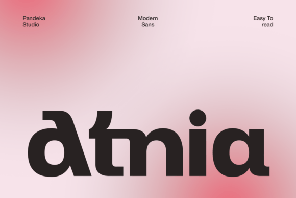Atnia: Modern Sans Serif for Craft Creators