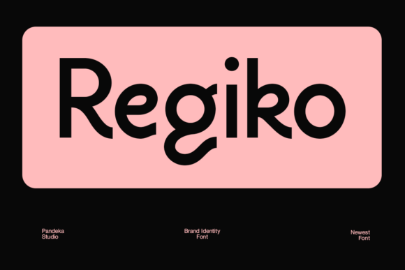 Regiko: A Modern Sans Serif for Real Projects
