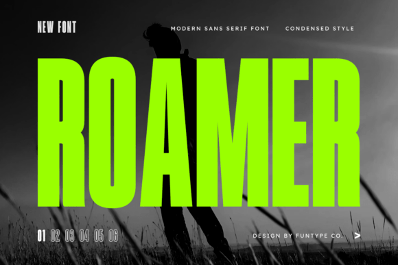 Roamer: A Bold Sans Serif for Web Design